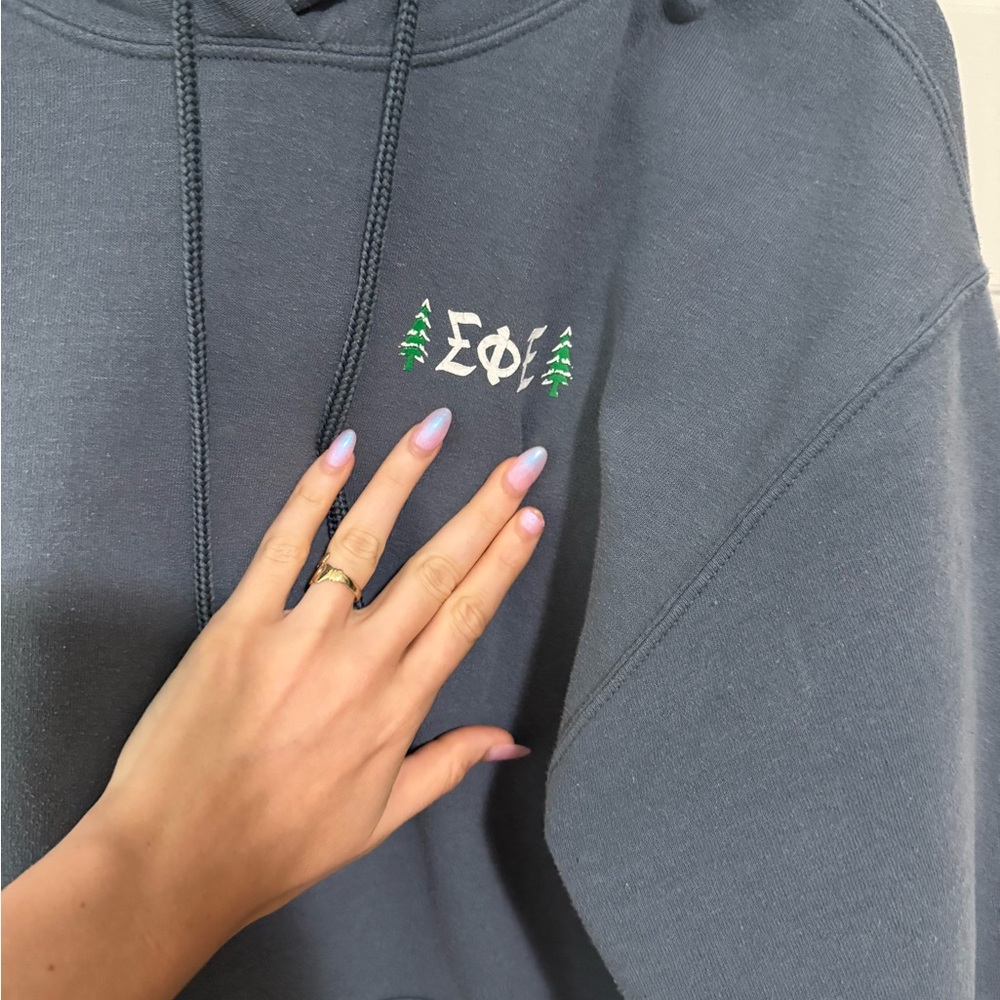 Sigma Phi Epsilon fraternity hoodie - Picture 8 of 10